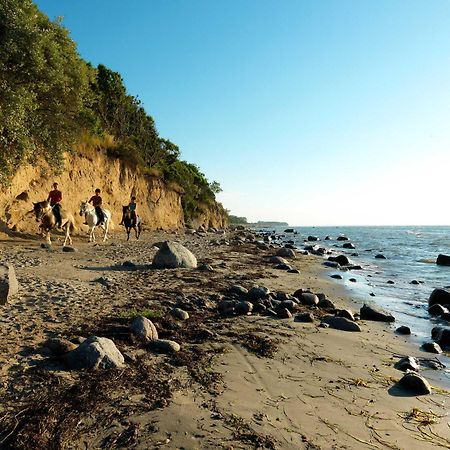 Residenz Am Yachthafen Strandaster Kirchdorf  المظهر الخارجي الصورة
