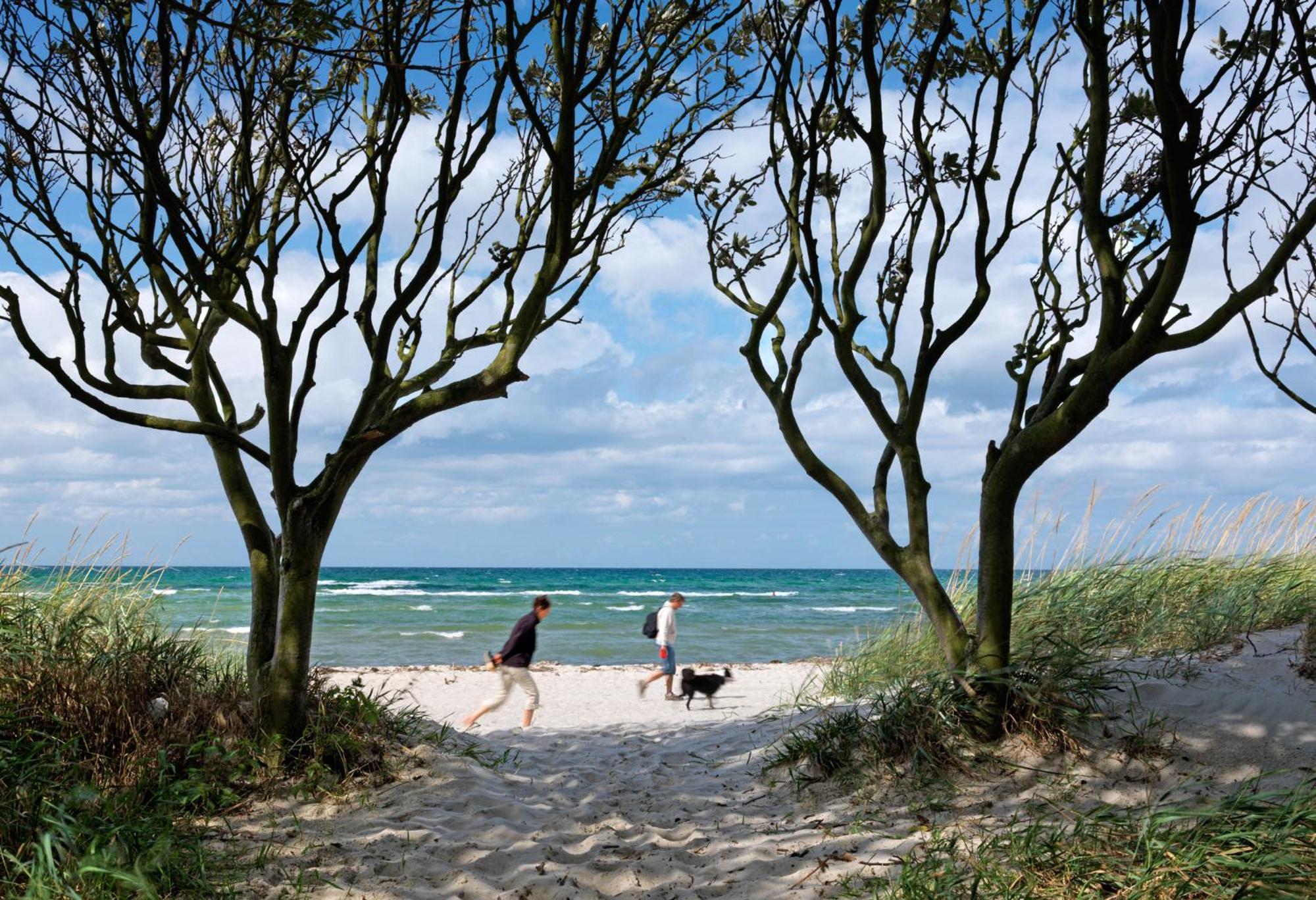 Residenz Am Yachthafen Strandaster Kirchdorf  المظهر الخارجي الصورة