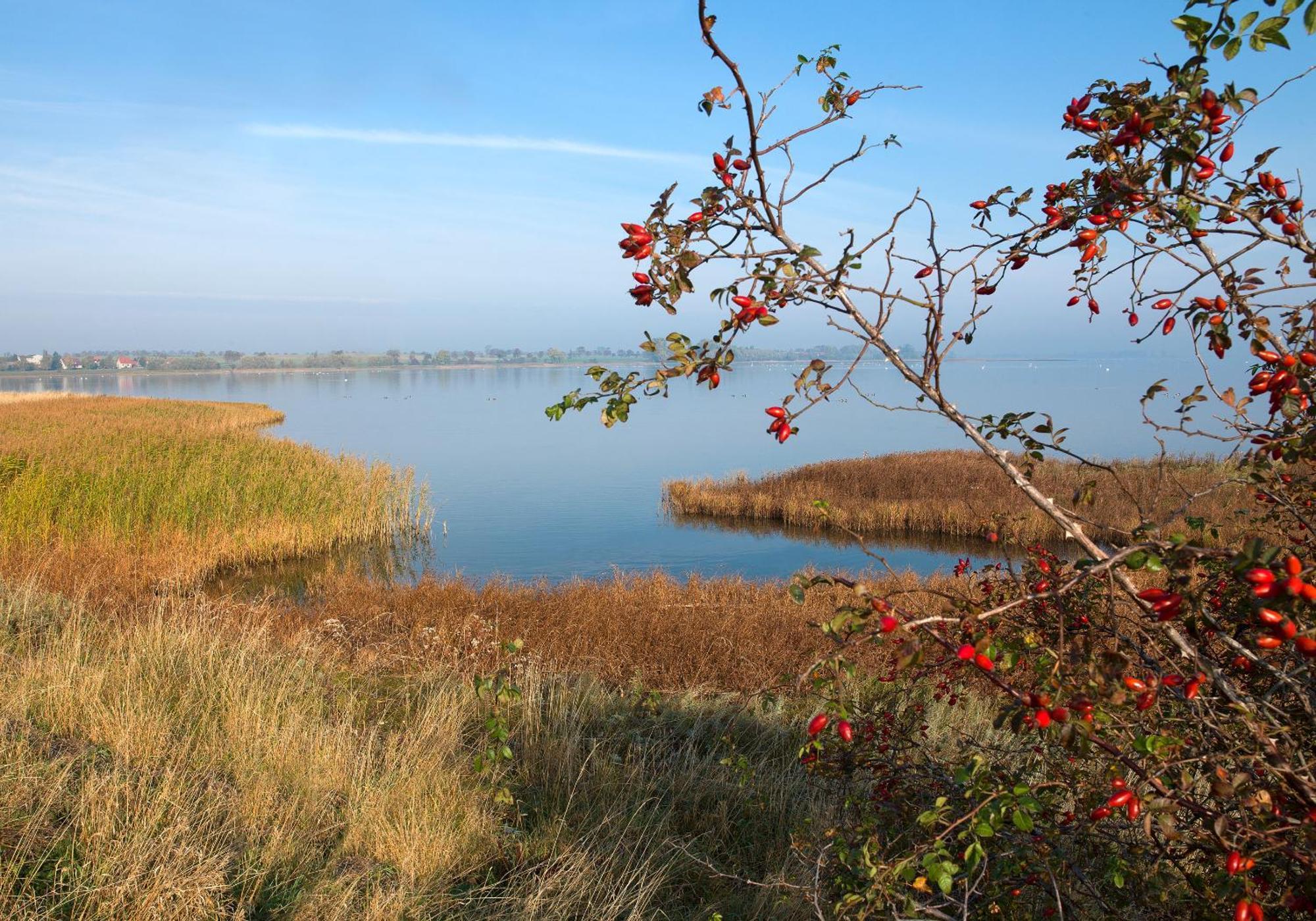Residenz Am Yachthafen Strandaster Kirchdorf  المظهر الخارجي الصورة