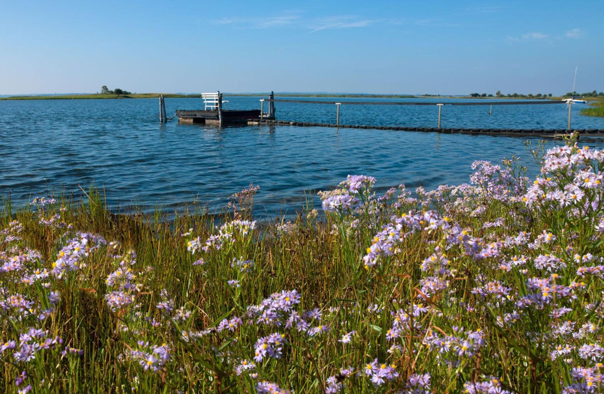 Residenz Am Yachthafen Strandaster Kirchdorf  المظهر الخارجي الصورة