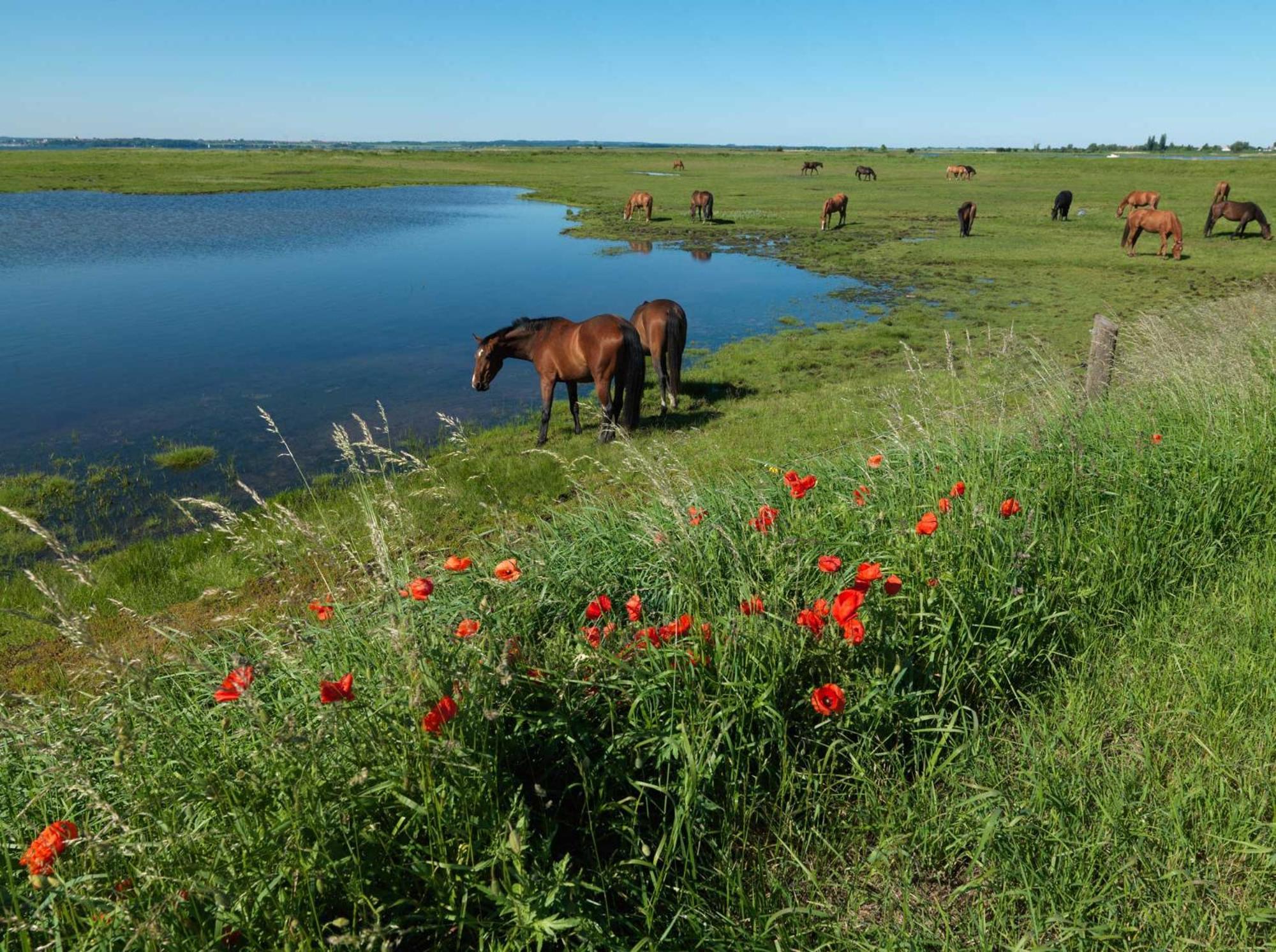 Residenz Am Yachthafen Strandaster Kirchdorf  المظهر الخارجي الصورة